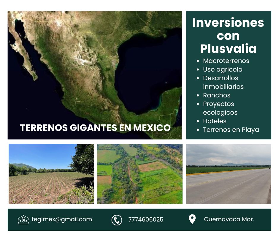 Vista aérea de parcelas y vegetación