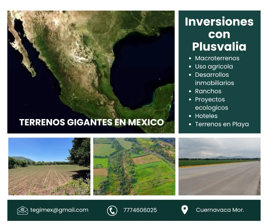 Servicios de inversión con plusvalía